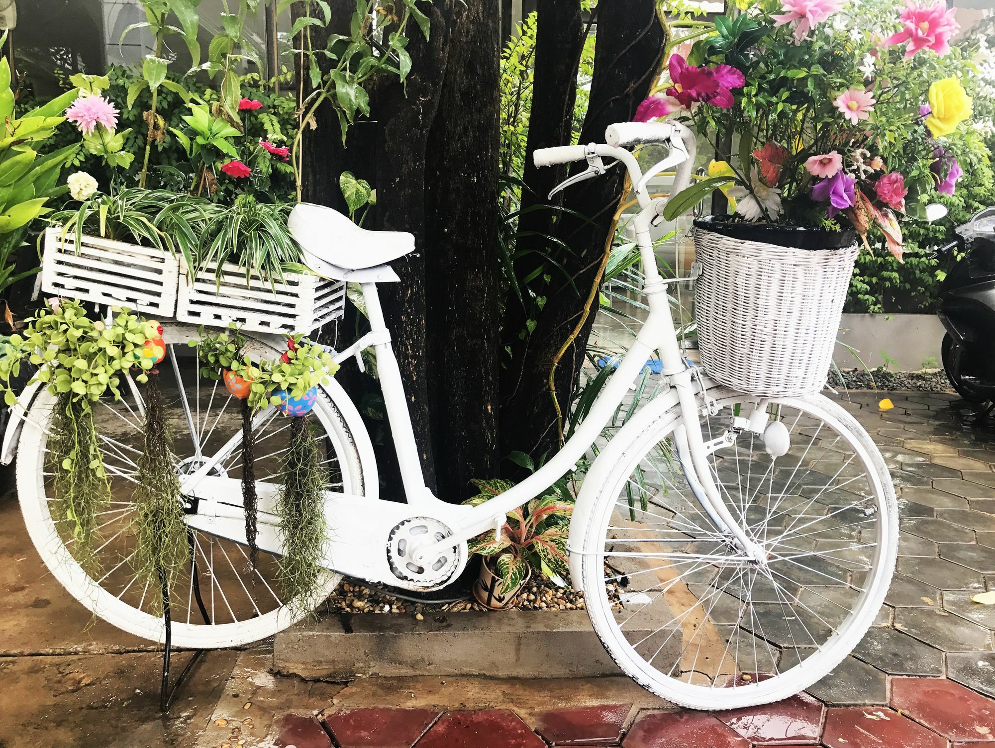 Champey Villa Siem Reap Dış mekan fotoğraf